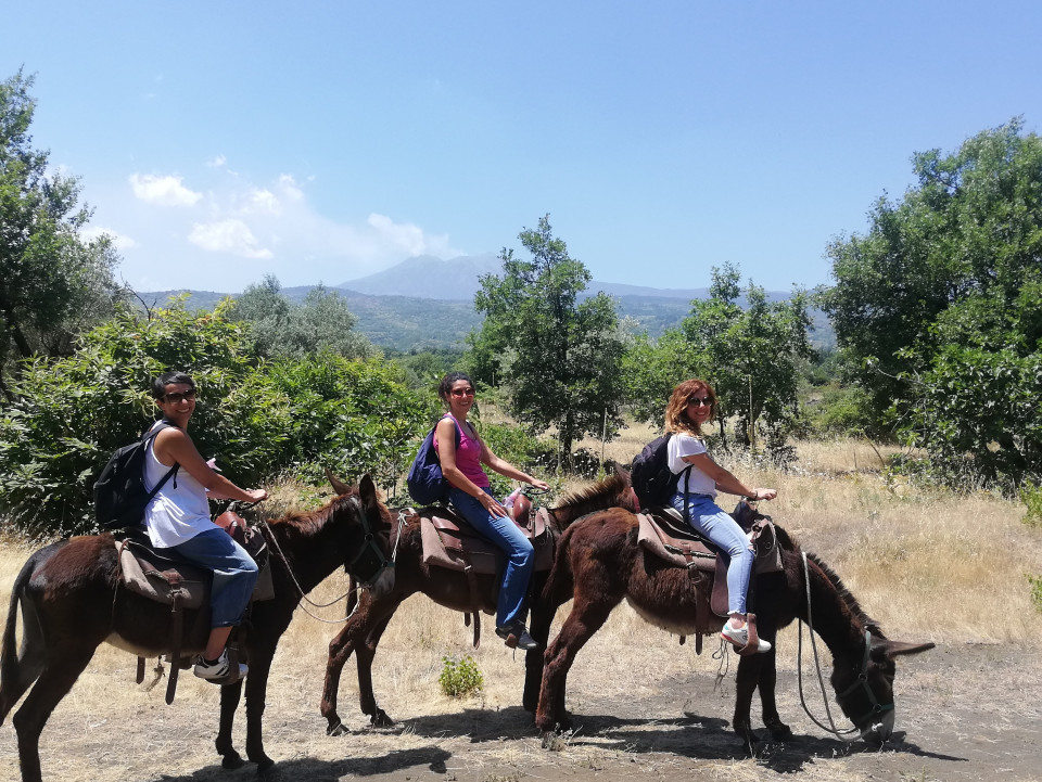 etna donkey isolani per caso.jpg