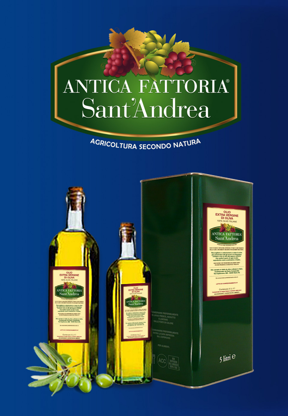 banner olio_2000px.jpg banner olio_2000px.jpg