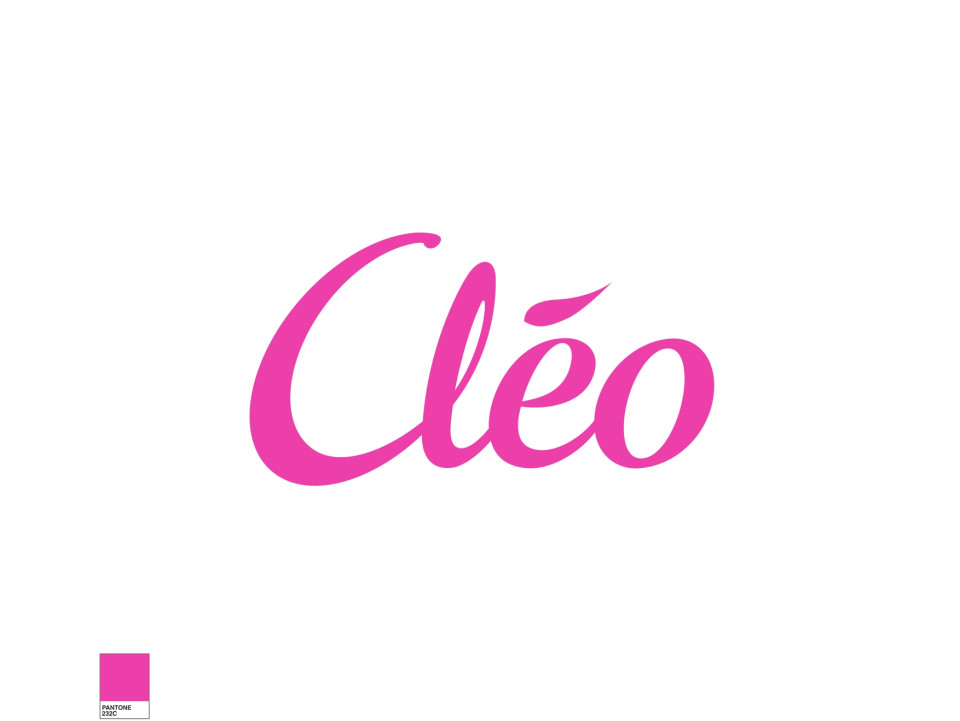 logo Cle╠üo 2017 .jpg