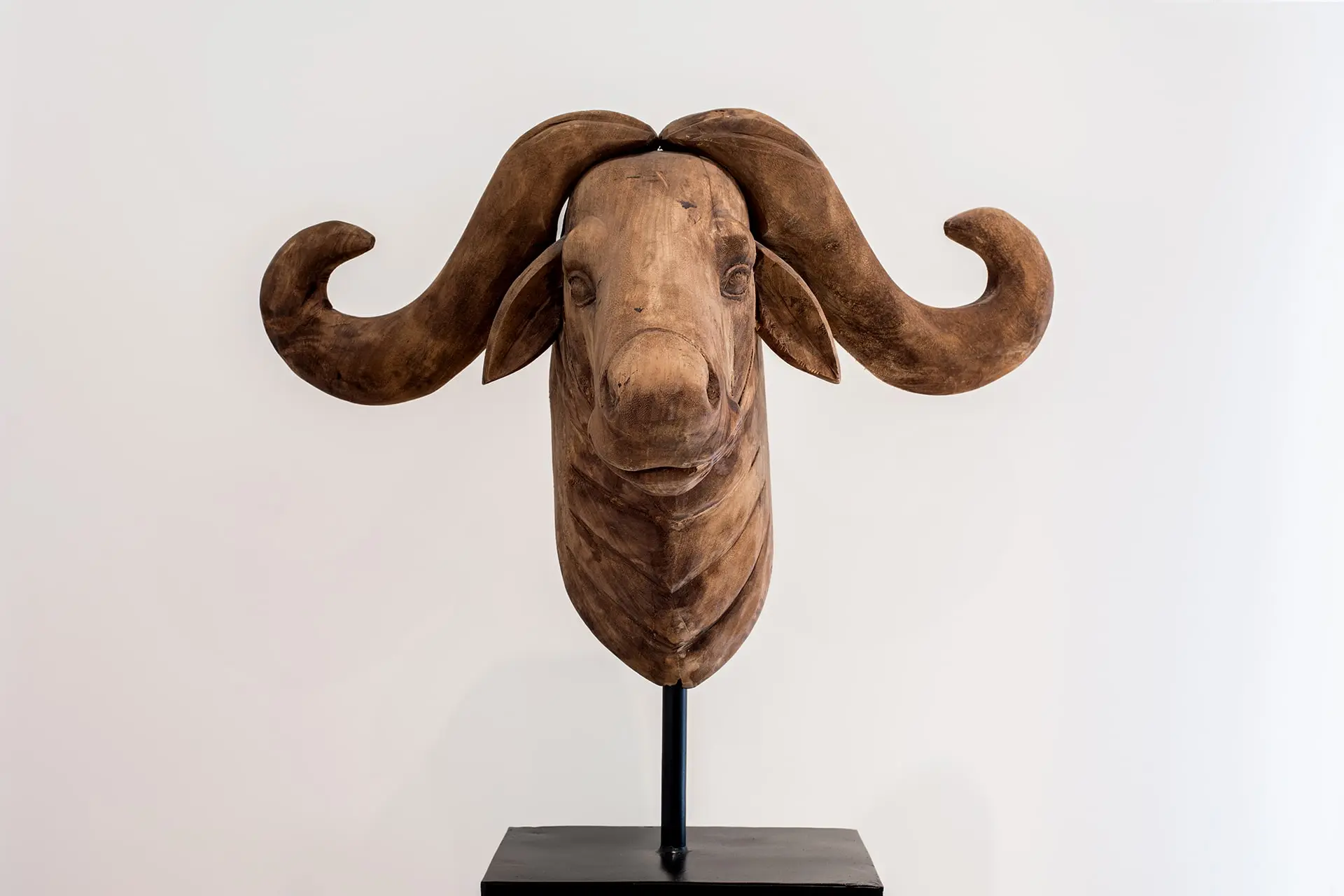 002-MANDUCHI-ALTA-min