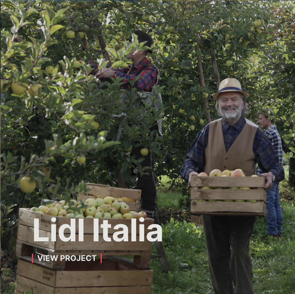 Schermata 2025-10-16 alle 10.52.38