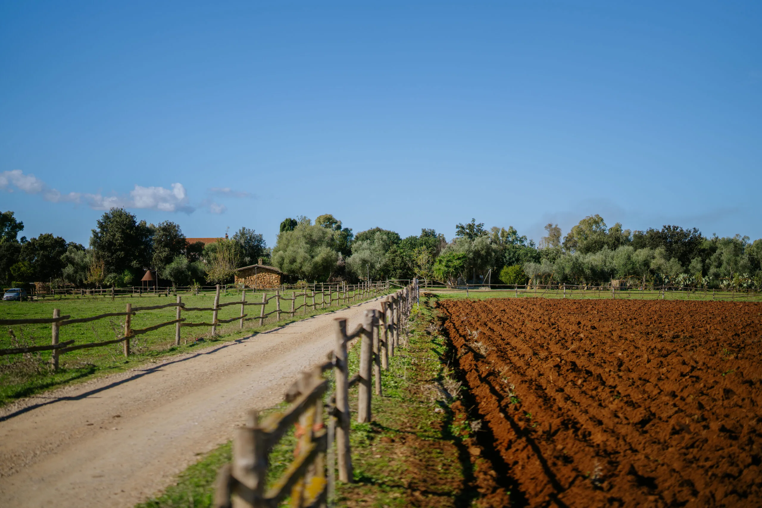 Samandra - Secondo Shooting-307