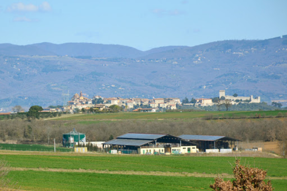 2021/05/la_cerreta_gallery3_3422