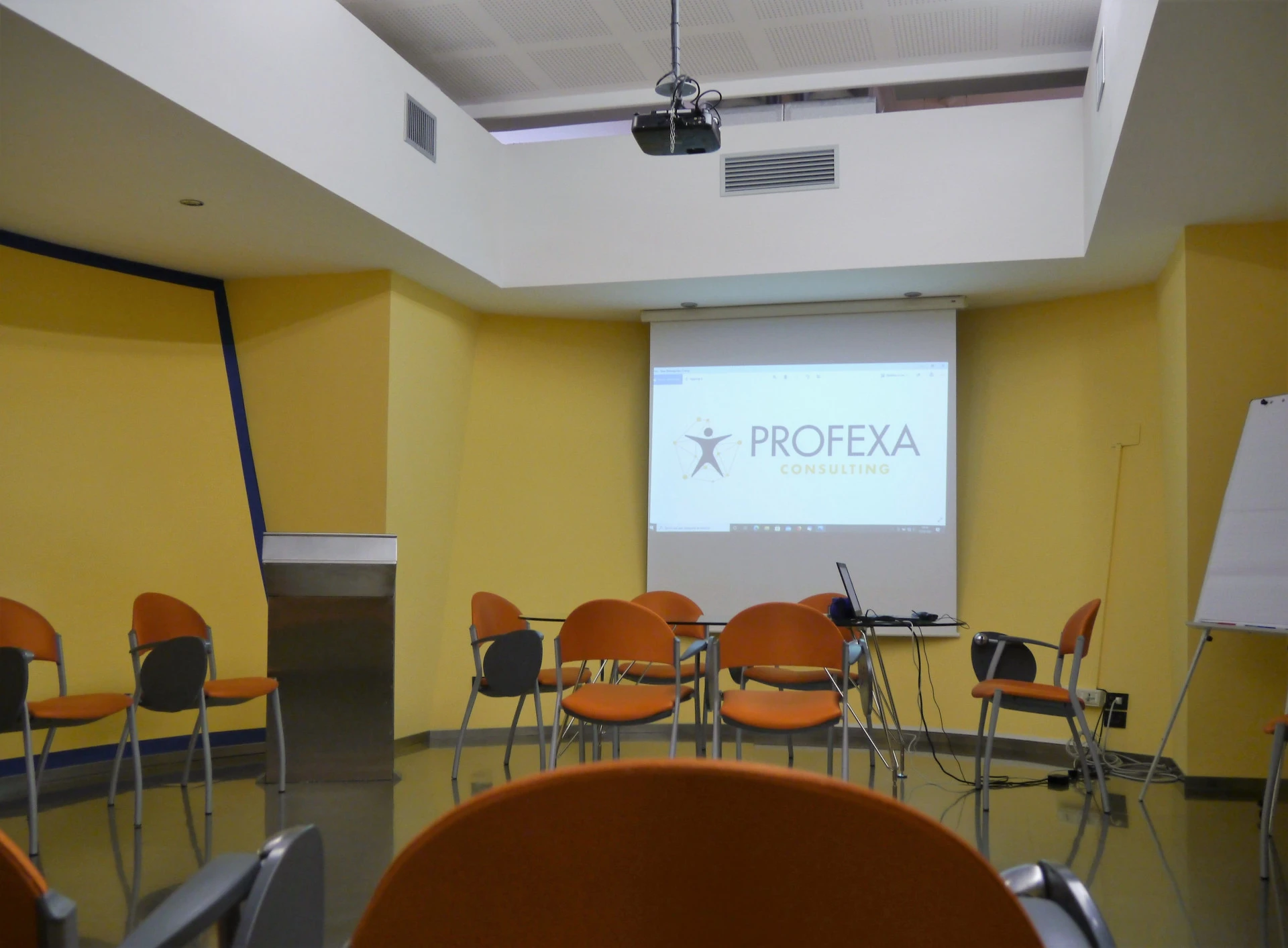 2021/05/profexa-consulting-people-organization-development_gallery7_2993