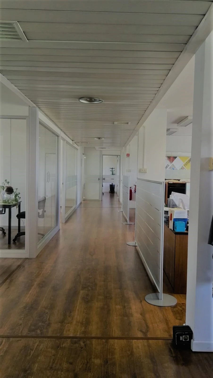2021/06/orienta_office_4445