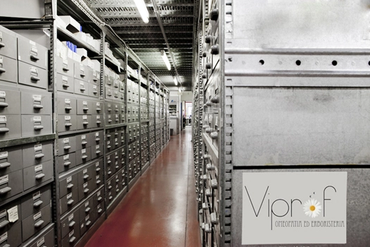 2021/10/viprof-8_4731