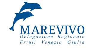 2021/11/marevivofvg_5041