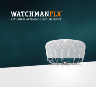 2022/01/watchman_flx_5579