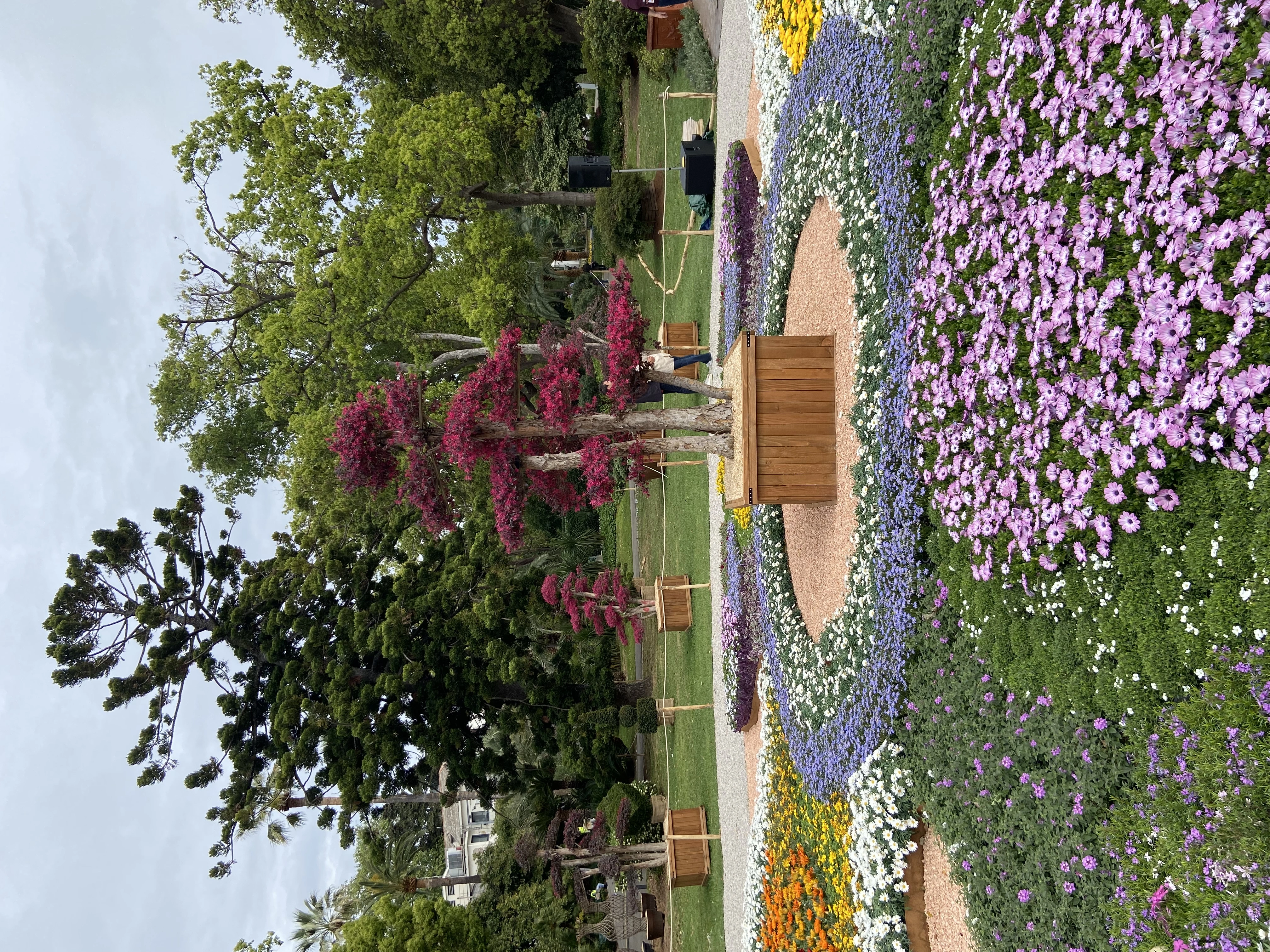 IMG-7013.jpg