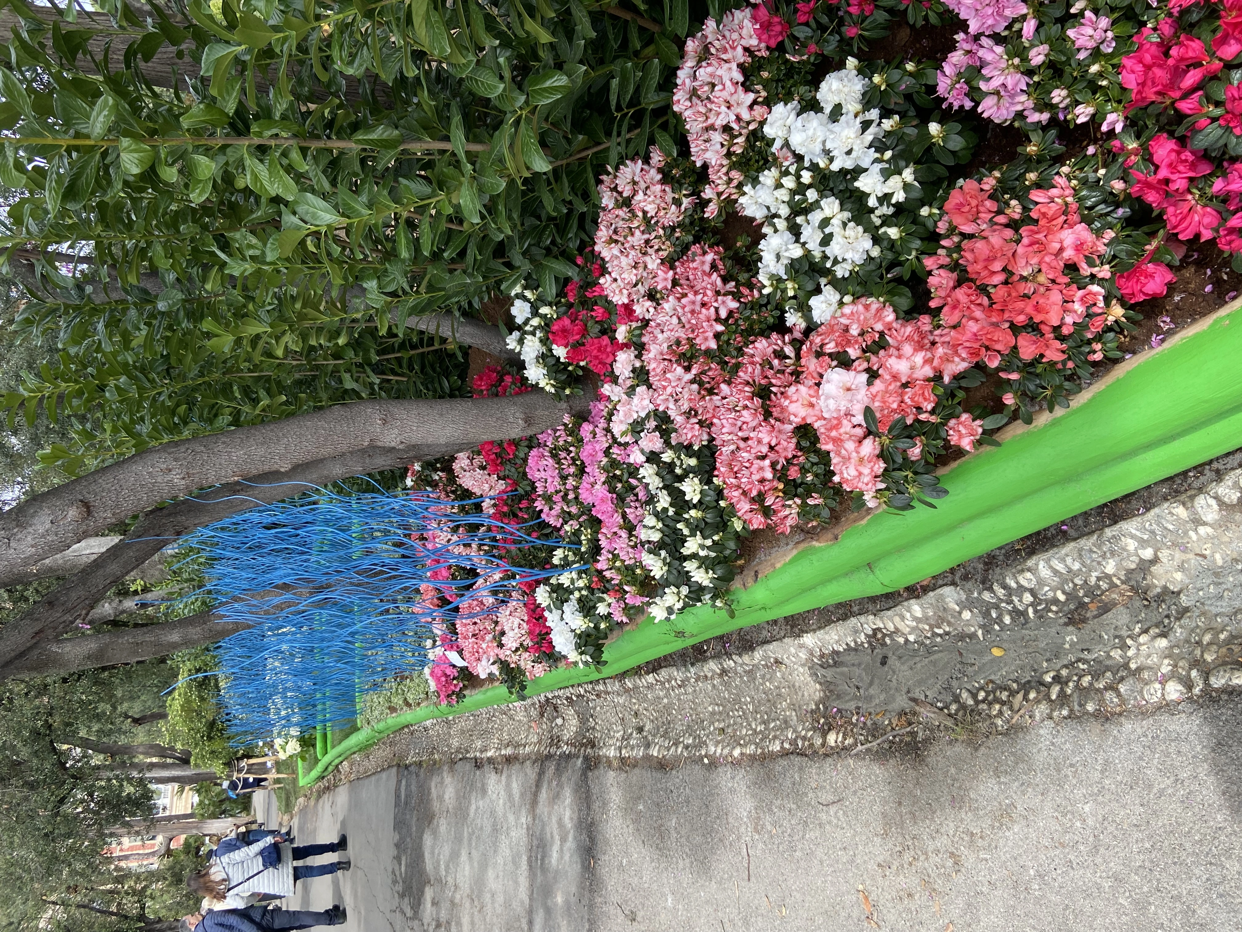 IMG-7016.jpg