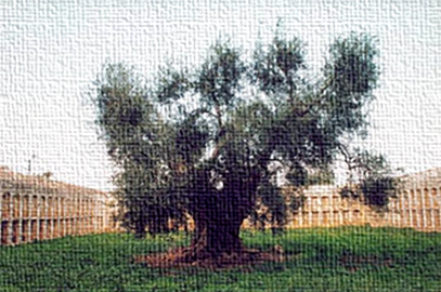 2023/05/immagine2_8472