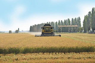 2024/03/cicogna_soc_agricola_3_9467
