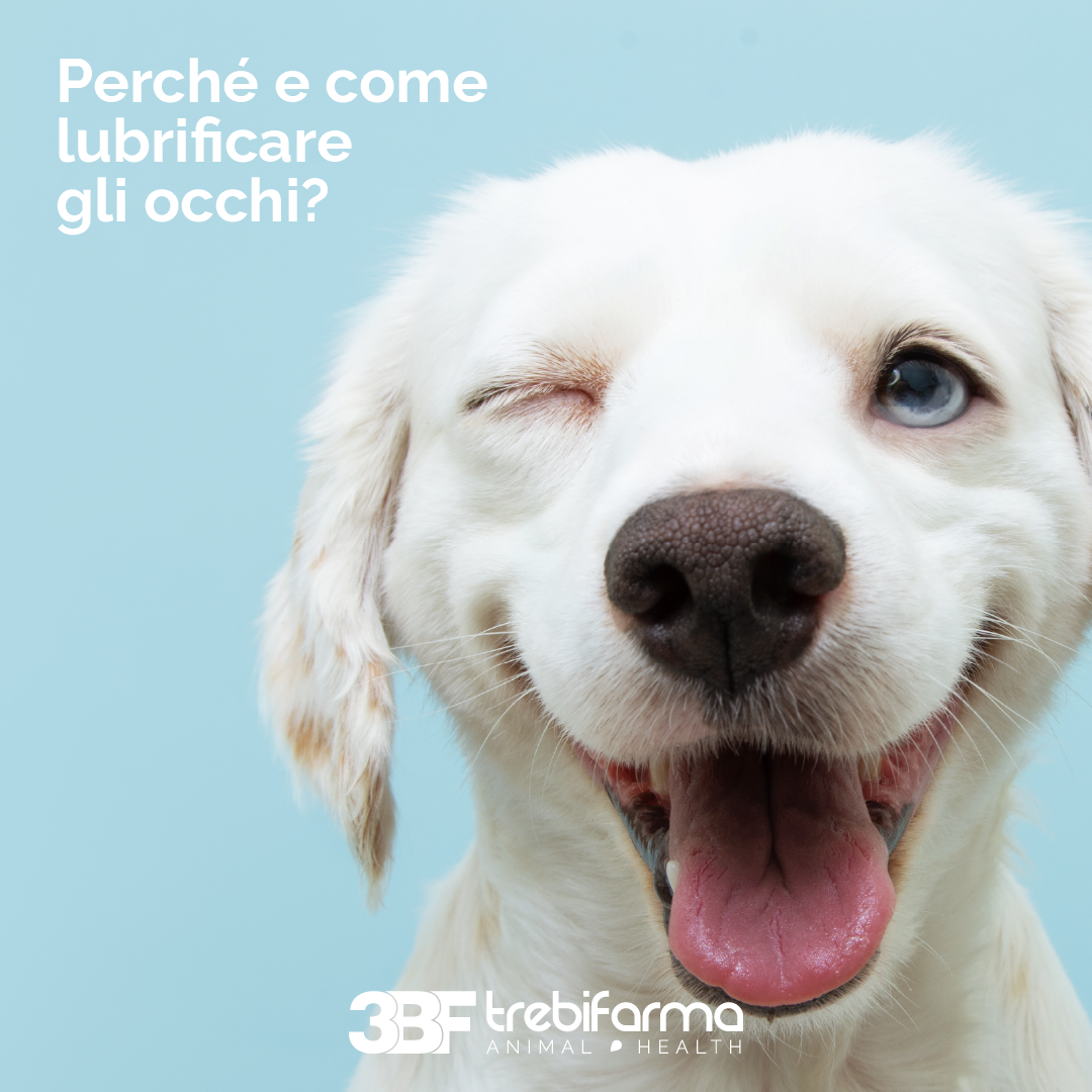 FB-Trebifarma-lubrificare occhi-1