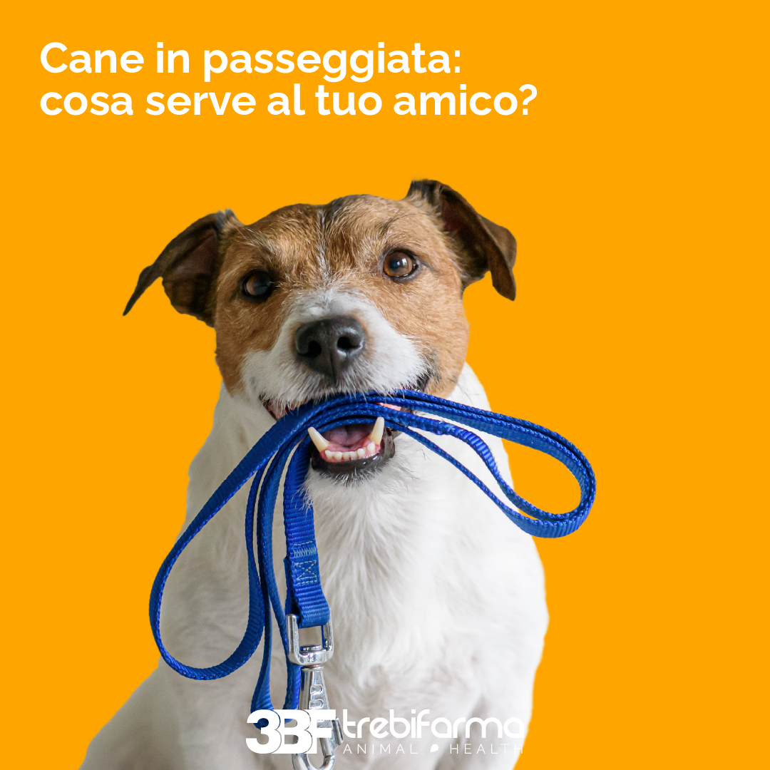 FB-Trebifarma-passeggiata-1