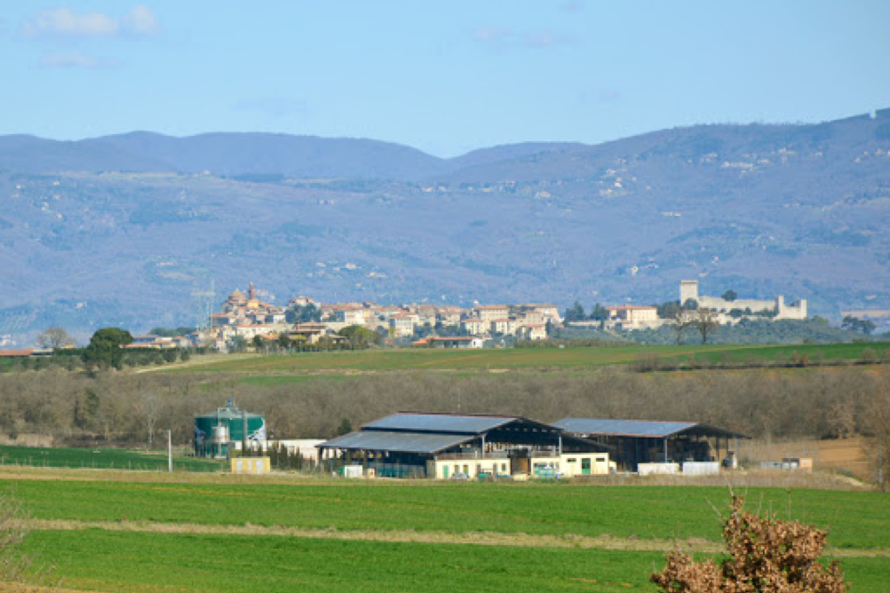 2021/05/la_cerreta_gallery3_3422
