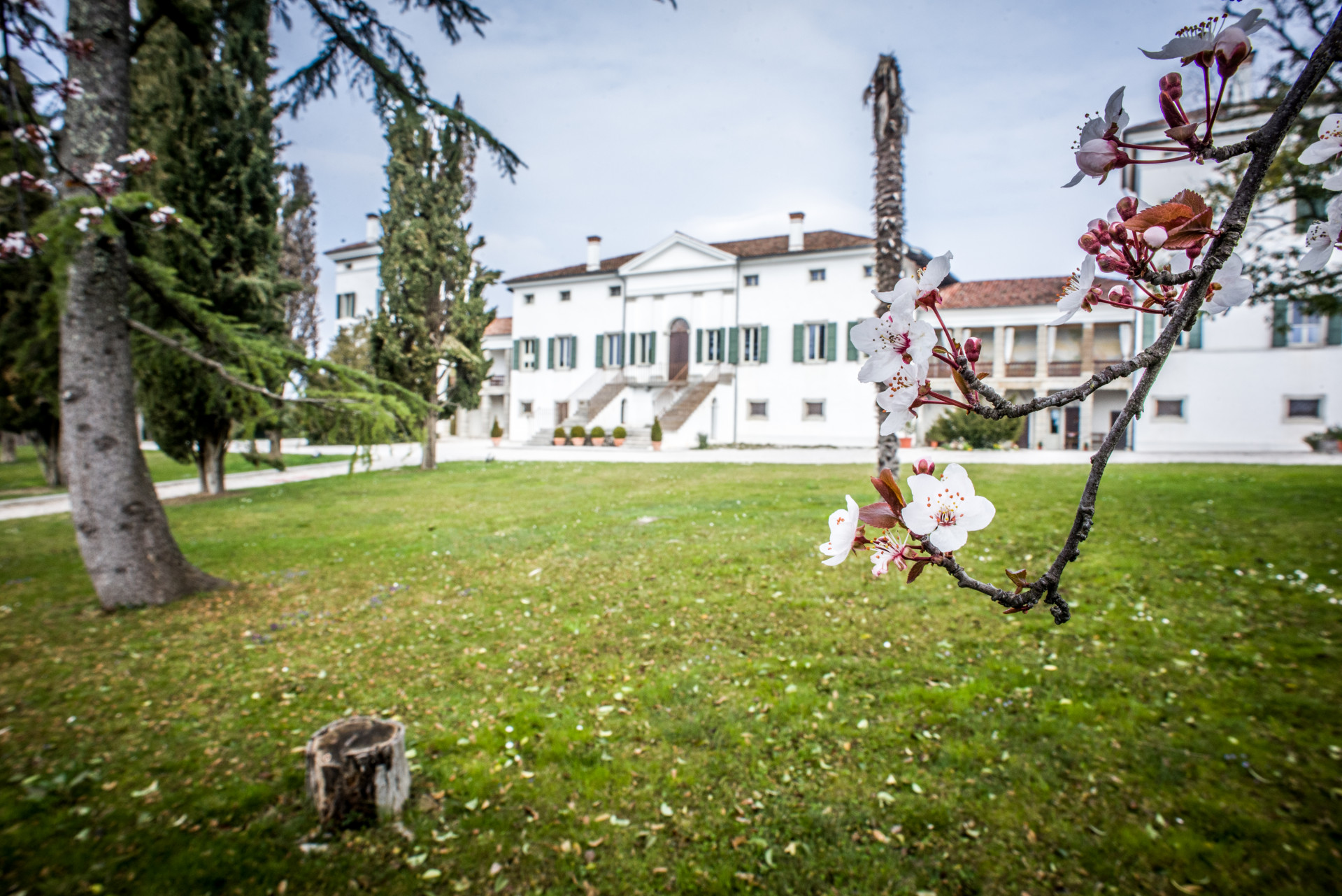 2021/05/marina-danieli-estate_gallery5_2868