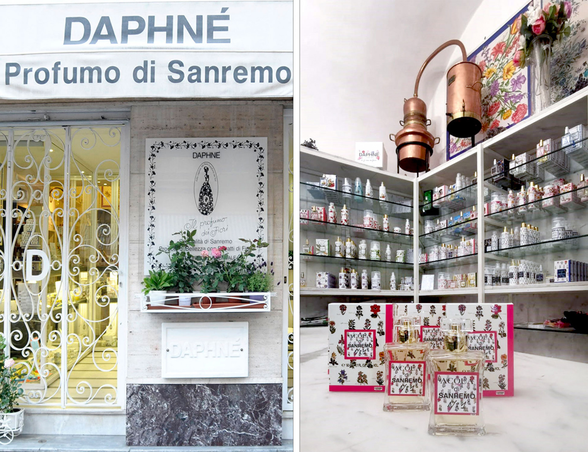 2021/05/mary-daphne_gallery8_2892