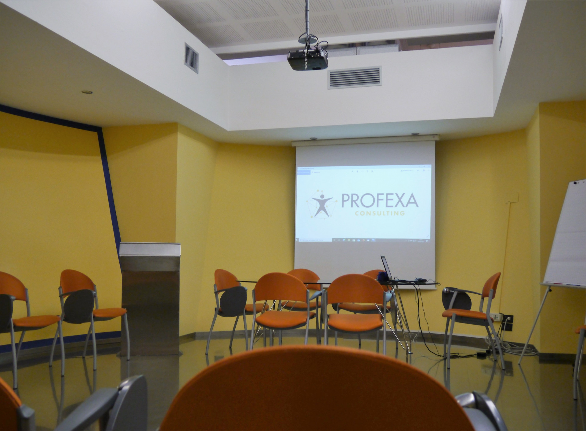 2021/05/profexa-consulting-people-organization-development_gallery7_2993