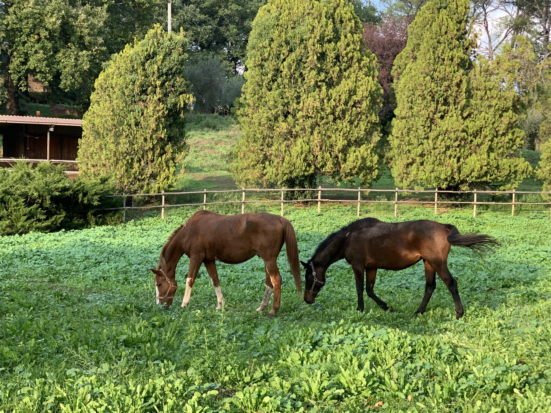2021/05/societa-agricola-corlando-tre_gallery4_3137