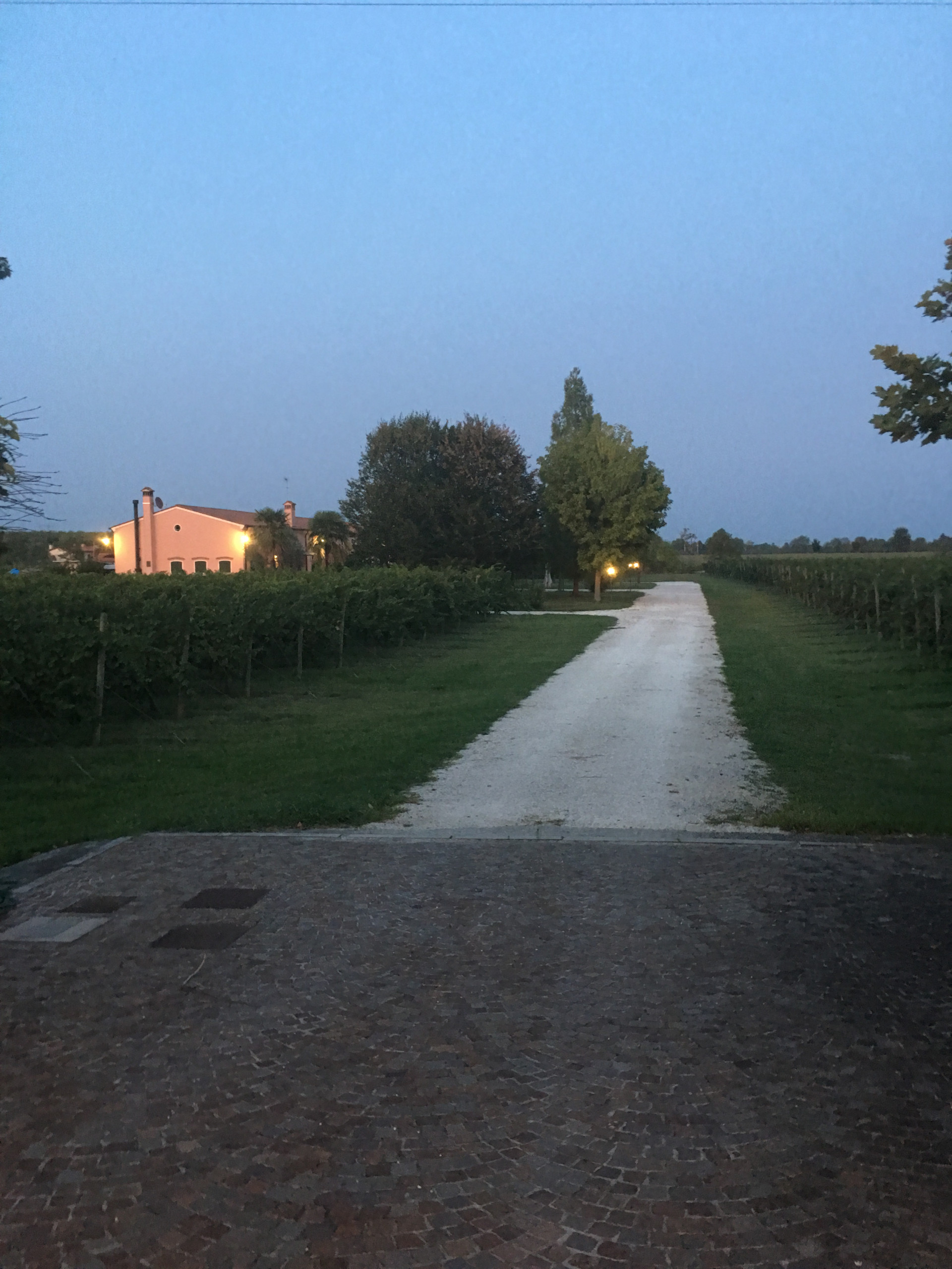 2021/05/societa-agricola-grazia-augusta_gallery1_3146