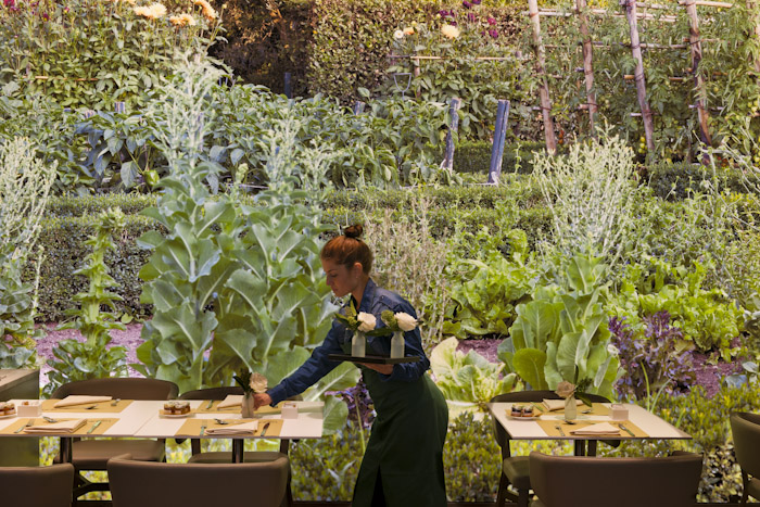 2022/06/starhotels_echo_mi_ristorante_orto_10_6797