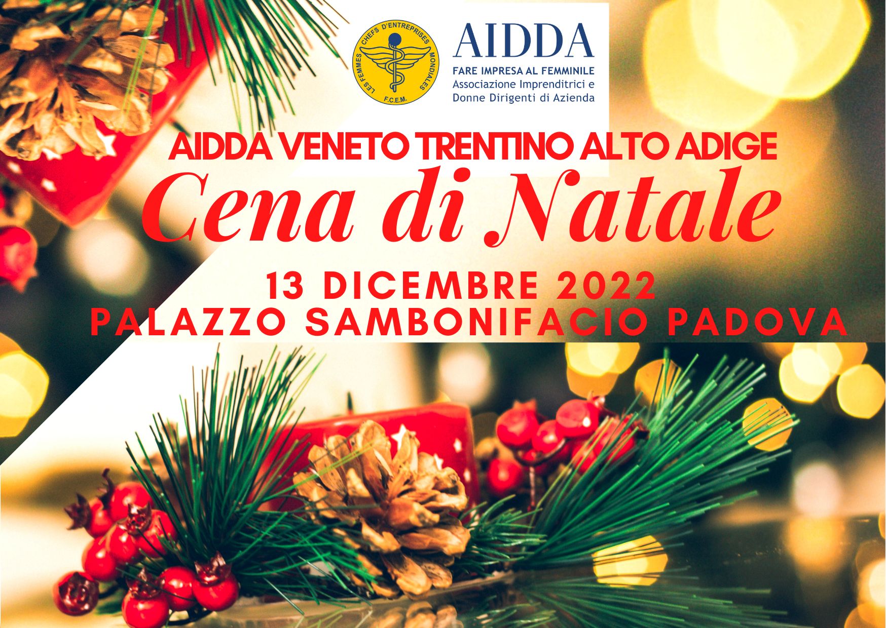 13 dicembre 2022 Palazzo sambonifacio padova.jpg