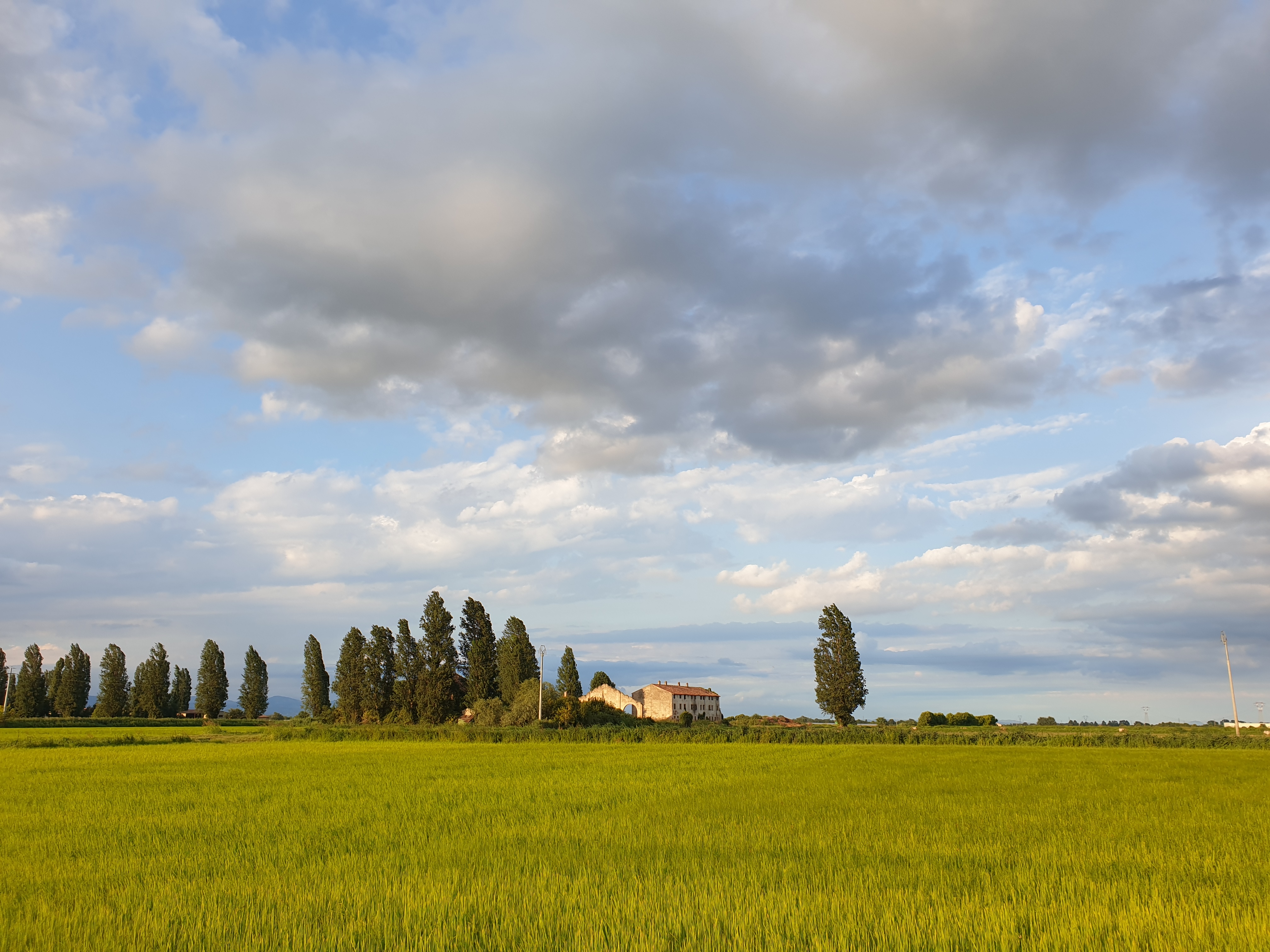 2024/03/cicogna_soc_agricola_1_9465